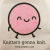 Mr. Yarn Knitters Gonna Knit Project Bag